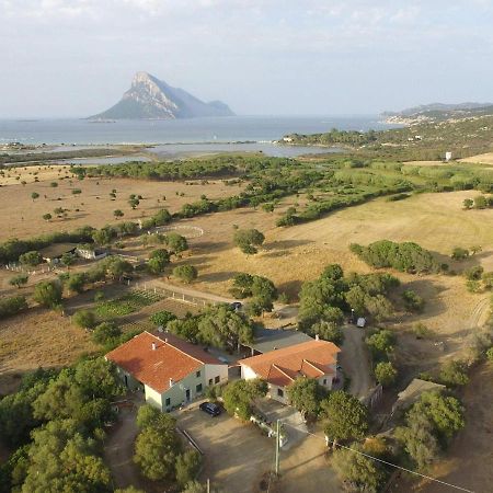 B&B La Taerra Порто-Сан-Паоло Экстерьер фото
